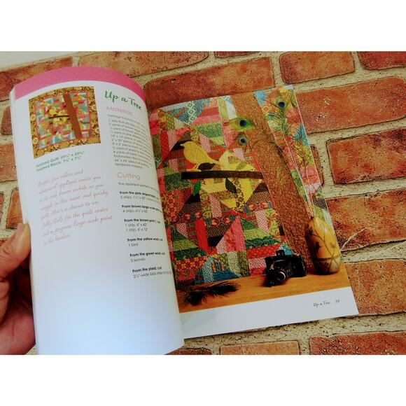 FAST‎ FLIRTY AND FUN Easy Quilts from Fabulous Fabrics by Sarah Bisel Quilting - Picture 9 of 14